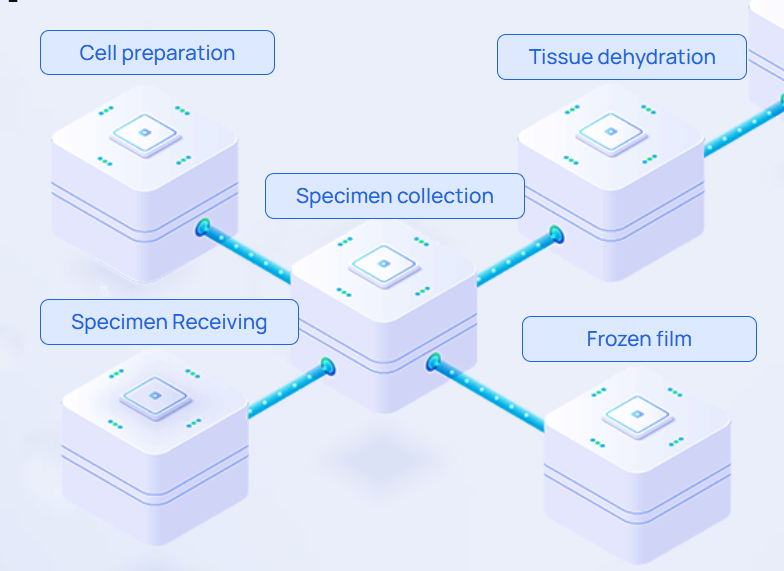 Pathology Specimen Traceability System