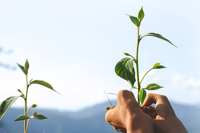 Driven by Biotechnology, Advancing Sustainable Human Health