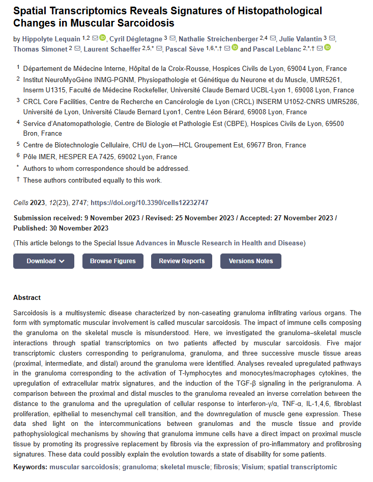 Spatial Transcriptomics Reveals Signatures of Histopathological Changes in Muscular Sarcoidosis