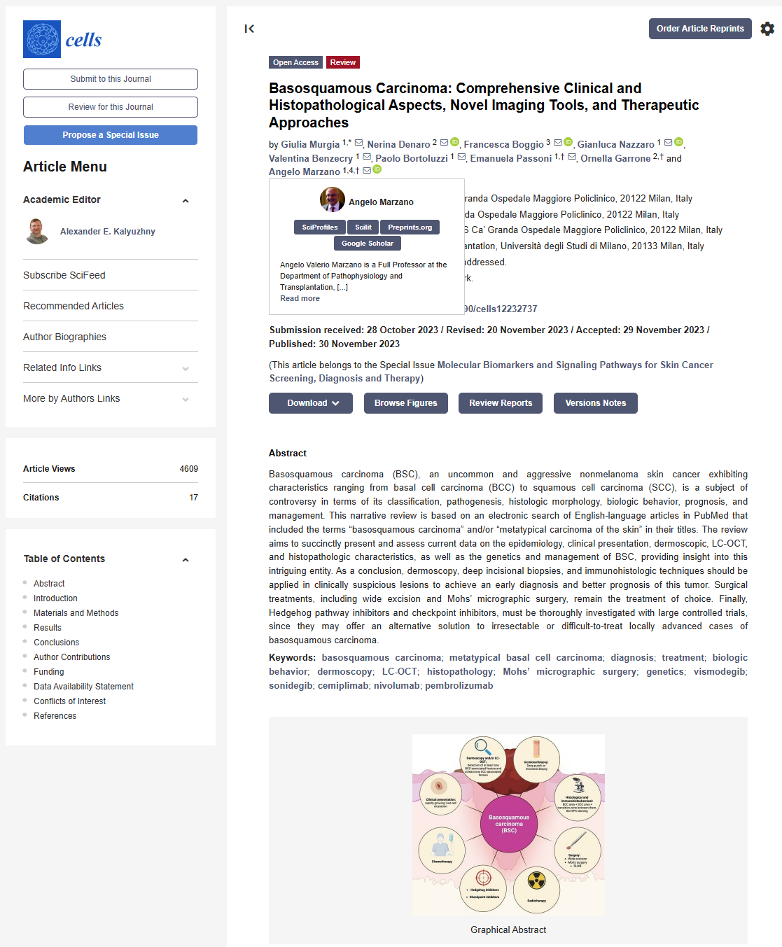 Basosquamous Carcinoma: Comprehensive Clinical and Histopathological Aspects, Novel Imaging Tools, and Therapeutic Approaches