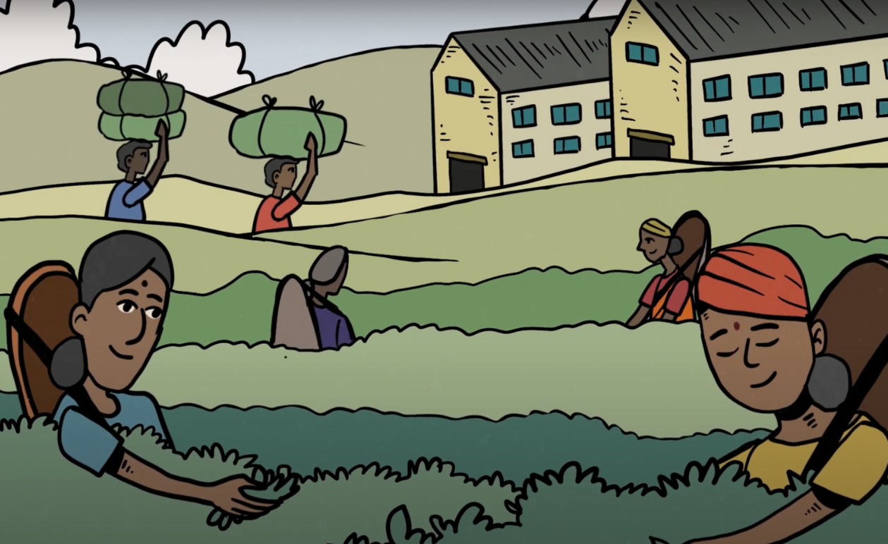 Video: How Brands and Retailers Can Support Women and Children in Sri Lanka’s Tea Industry