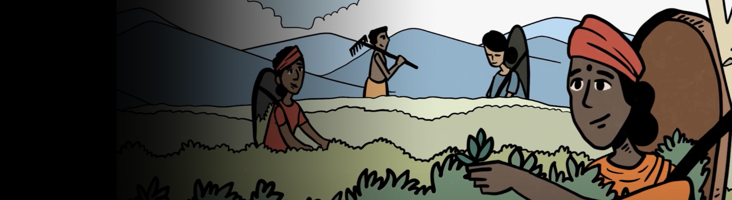 How Brands and Retailers Can Support Women and Children in Sri Lanka’s Tea Industry