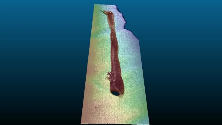 Glue Quality Inspection.png