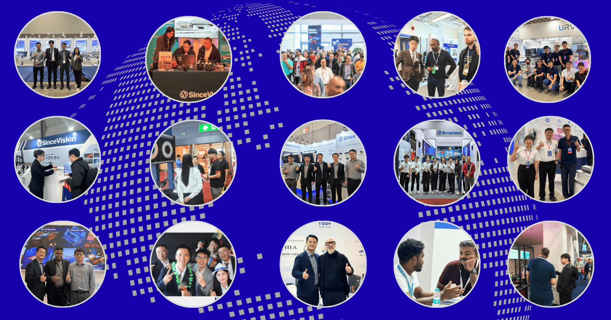 Global Tour SinceVision.png