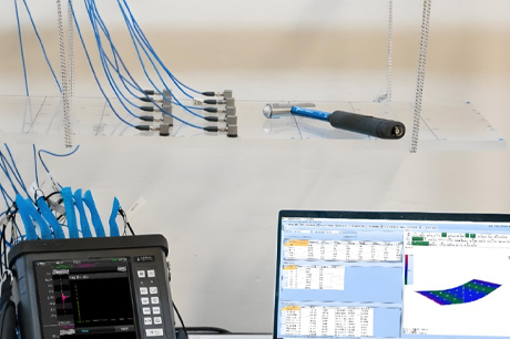 Observation of Vibration Modal Testing for Bio-inspired Wings