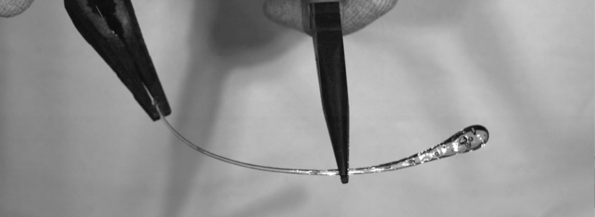 Observation of the Ruperts Drop Shattering Process