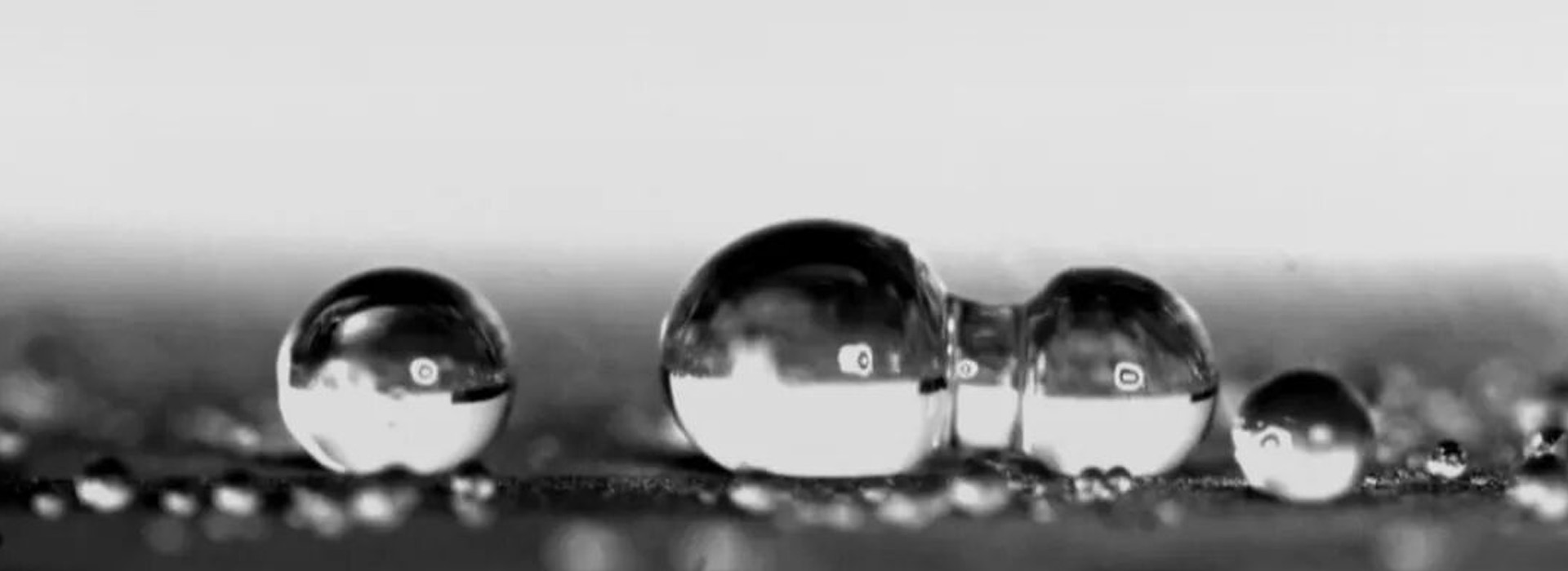 Capture the droplet coalescence process