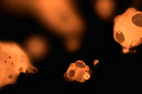 Observation of Special Material Combustion