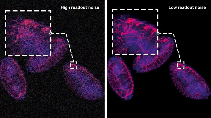 Ultra-Low Noise Design (0.29e⁻)